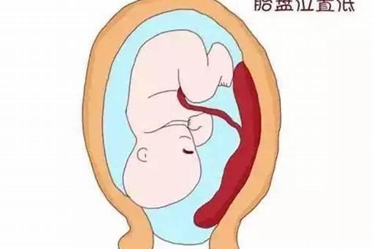 属蛇胎盘埋在哪里最旺