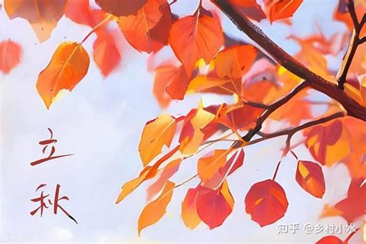 什么是公立秋和母立秋