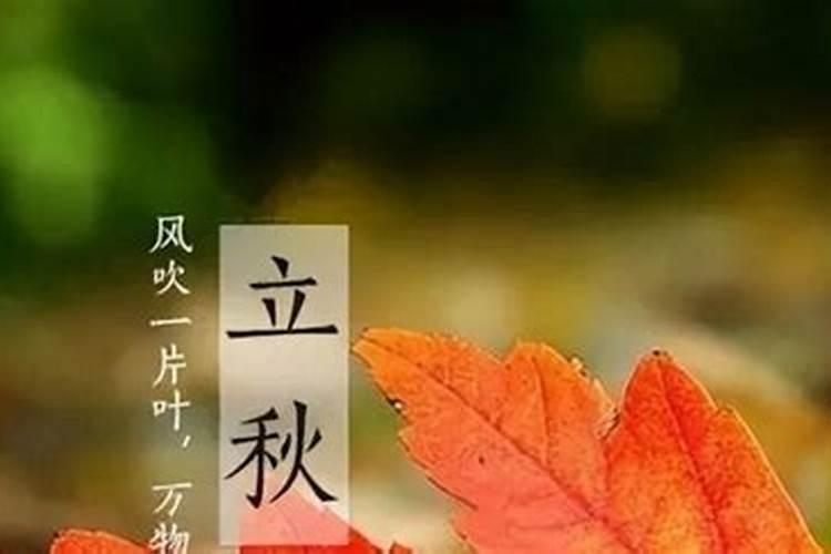 2024立秋是公秋还是母秋