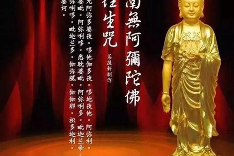 2025属虎人的全年运势如何