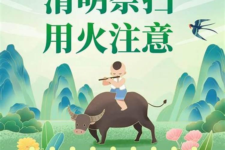 清明节安全注意事项小学