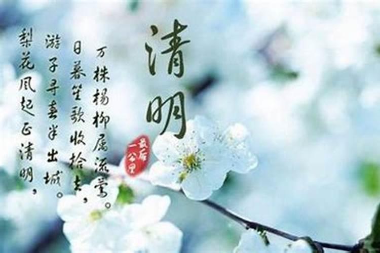 清明不能做什么事
