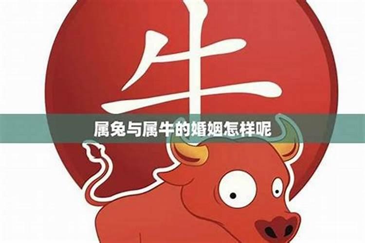 本命年蛇年犯太岁怎么化解