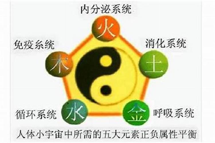 五行属水的人缺什么