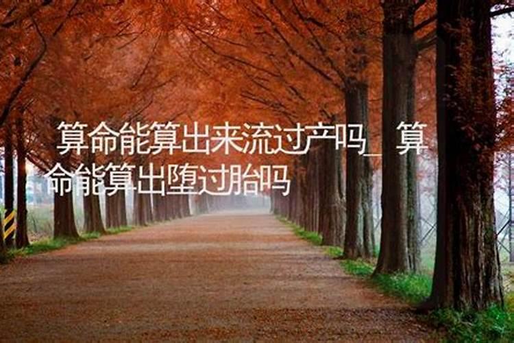 写一篇日记(冬至吃饺子)说明文300字左右