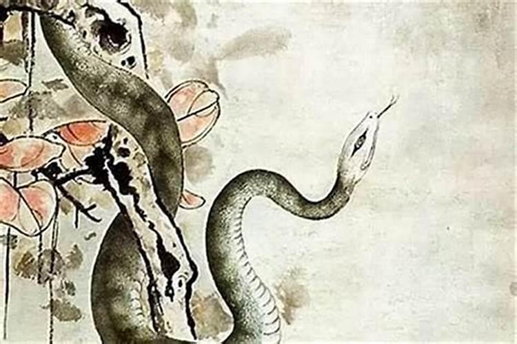 属蛇人离不开的两个贵人是谁