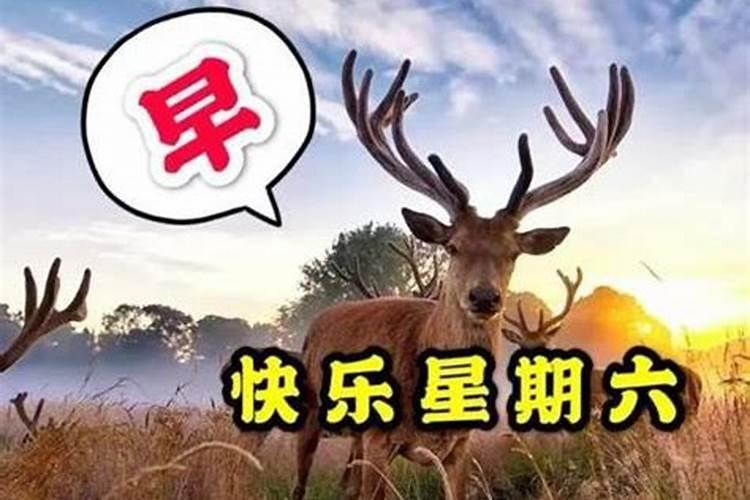 子女带文昌是什么意思