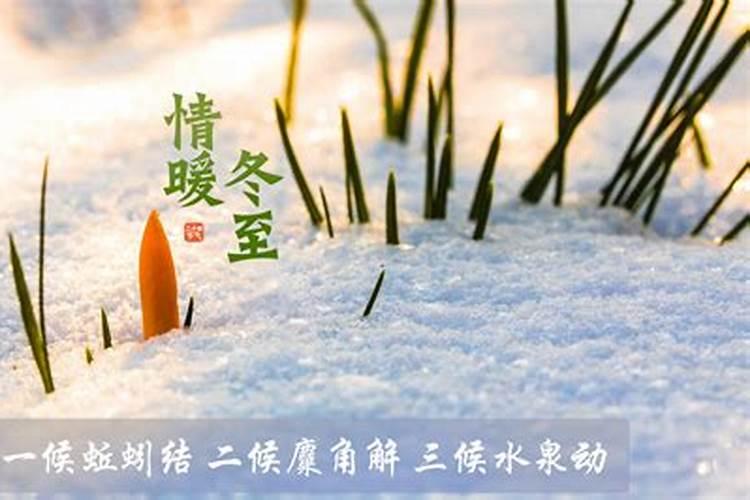2025属兔人全年12个月运势如何