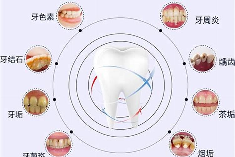 属鼠和属兔真的不能在一起吗