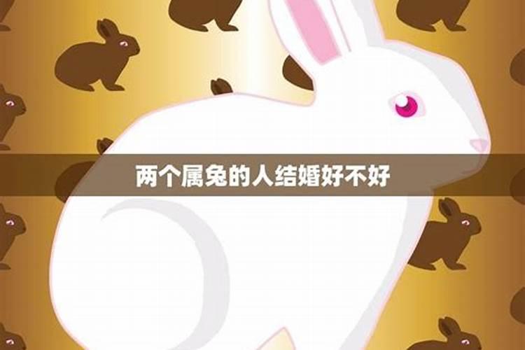 女人梦见大海,预示着什么？