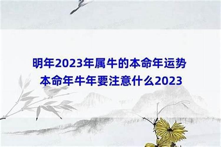 2024年属蛇是否犯太岁 2024年犯太岁的五大生肖分别是