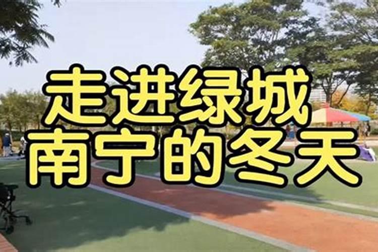 冬至南宁吃啥传统食物的呢