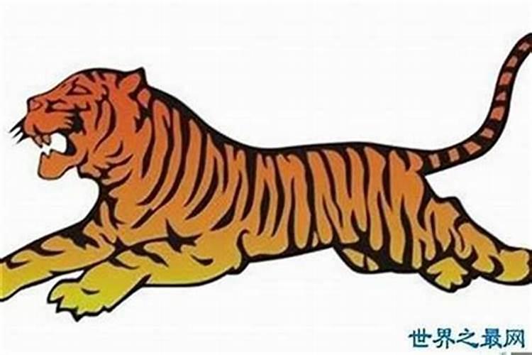 2024年属蛇犯太岁结婚能冲喜吗属蛇的婚配忌讳