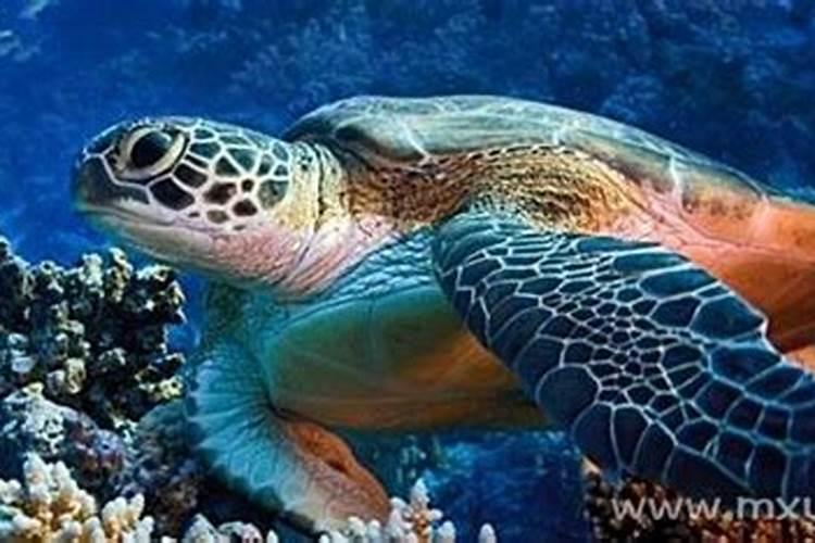 姓名配对测试两人关系婚姻打分姓名配对两人爱情结果