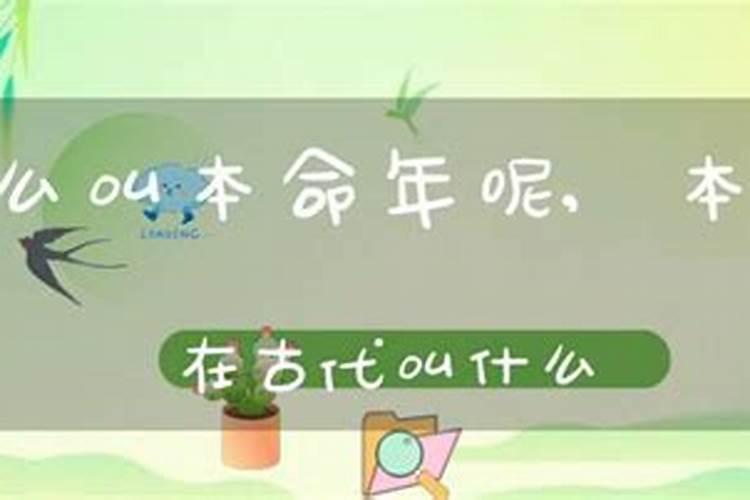 本命是什么意思