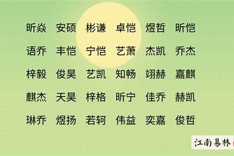 属狗2025年运势如何