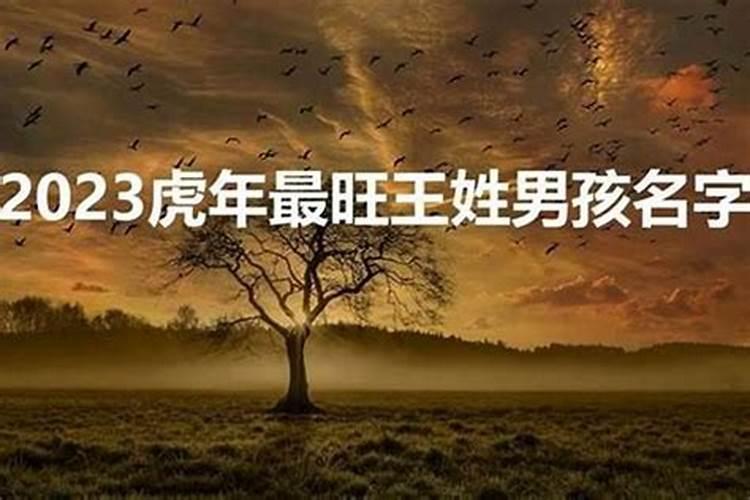 1974虎年最旺男孩名字 1974虎年最旺男孩名字有哪些