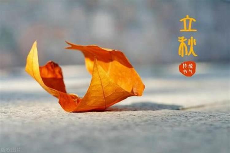 属虎2025年灾难是怎么一回事 属虎2025年有一难是什么劫难