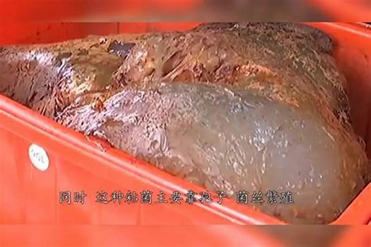 犯太岁化解方法,犯太岁化解的方法