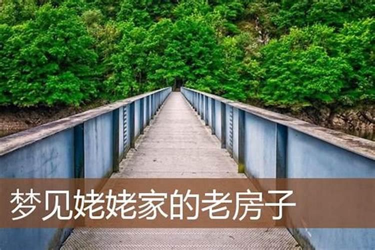 麦玲玲2025生肖马