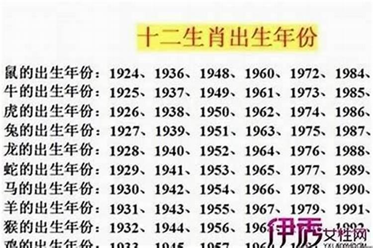 2025年生肖兔运势