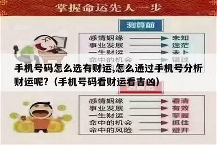 属虎2025年犯太岁吗