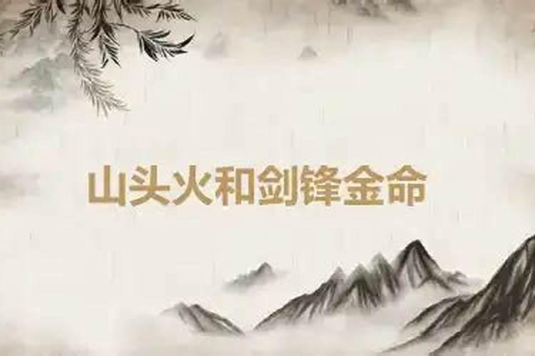 女95年属猪 山头火命 和 92年属猴剑锋金命 能结婚吗