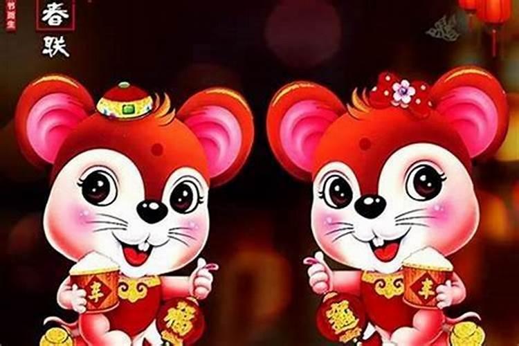 属鼠的和属猪的