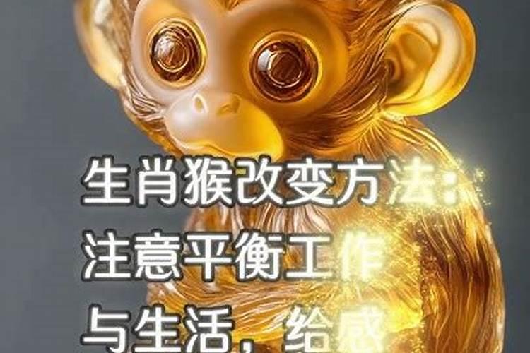 属猴的2023年几岁 2023年的属猴人事业运势逐渐改善