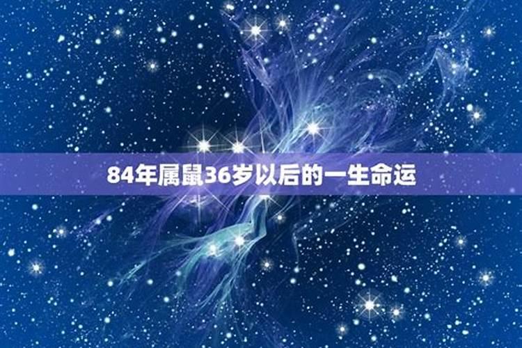 1984年的鼠人一生运势如何