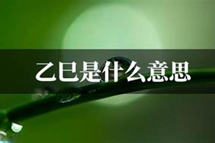 农历己酉年是公历哪一年