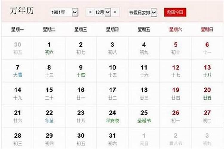 1981年属鸡人2024年全年运势