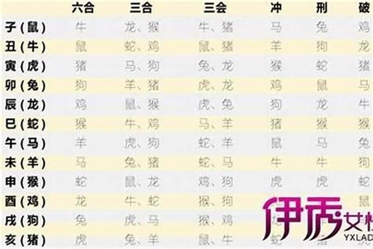 十二生肖婚配禁忌与解释十二生肖男女婚配表