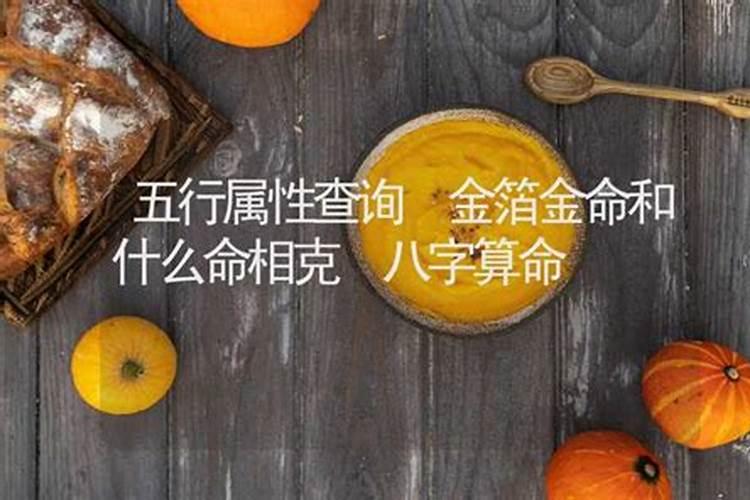 麦玲玲2025最旺生肖