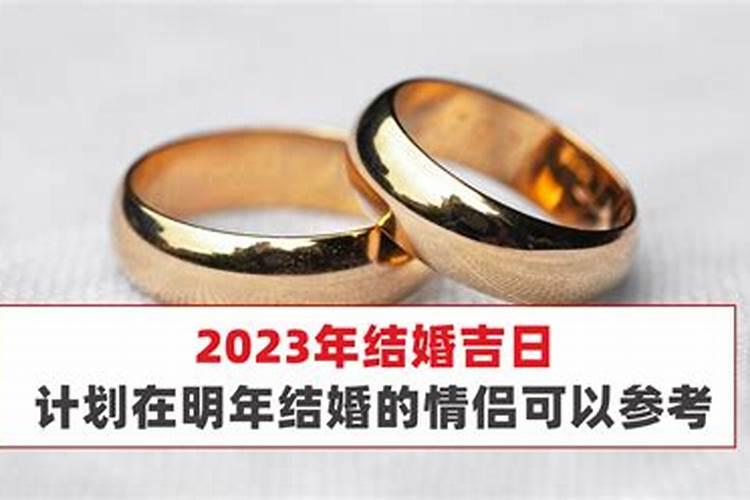 2025年犯太岁属相是哪五个