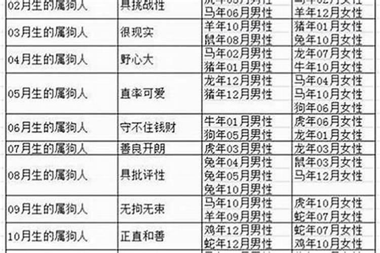 两个属狗的结婚相冲吗