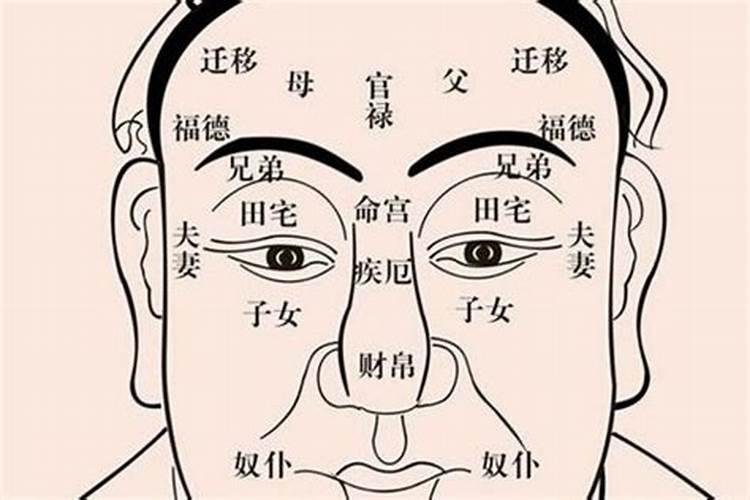 福德宫代表什么