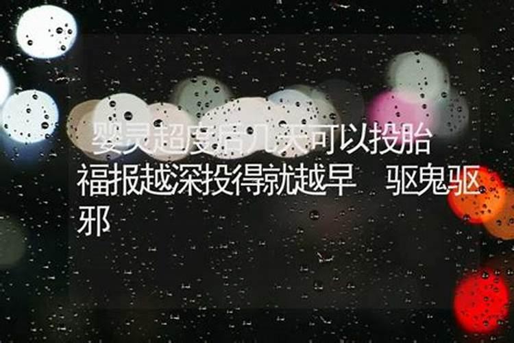 幼儿园《夏至》教案