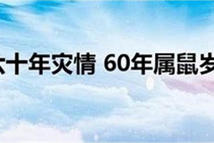 鼠人2025全年的运程和运势如何