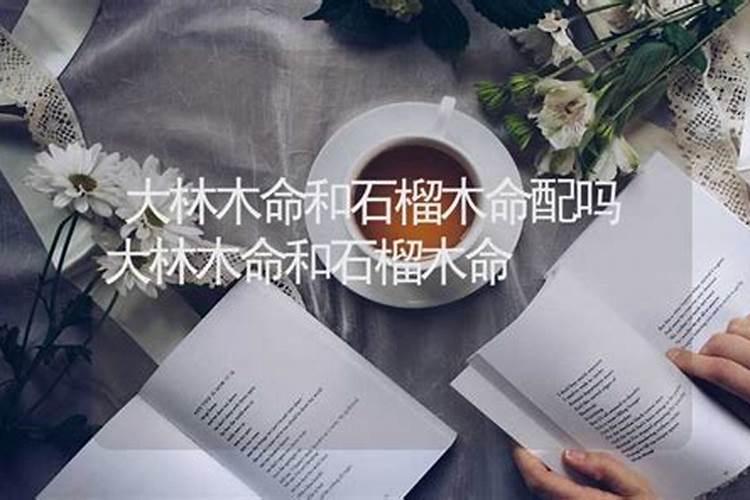 八字配对 大林木命跟石榴木命婚配好不好？