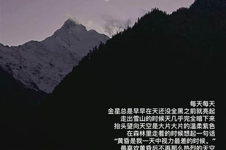 1988年的十一月初五阳历是几月几号