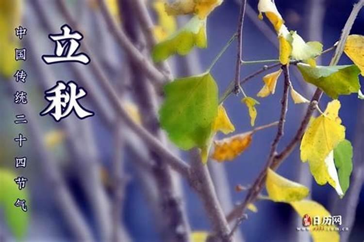 75年兔女2025年运势完整版