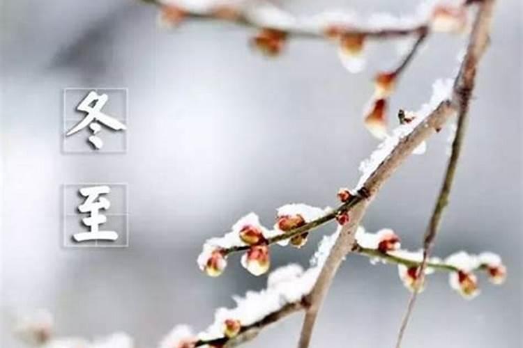 丁巳日柱女命看丈夫 丁巳日柱女命看配偶？