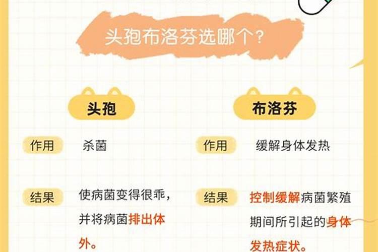 辛金命的最好出路