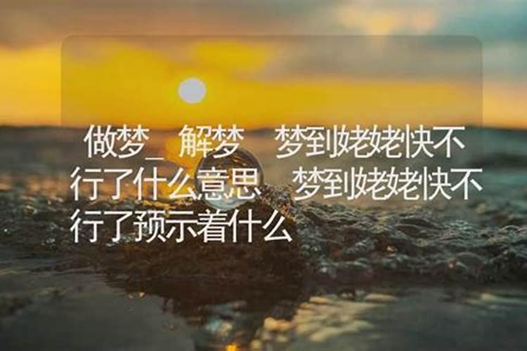 属牛1997运势2025运程 属牛1997年2025年运势及运程