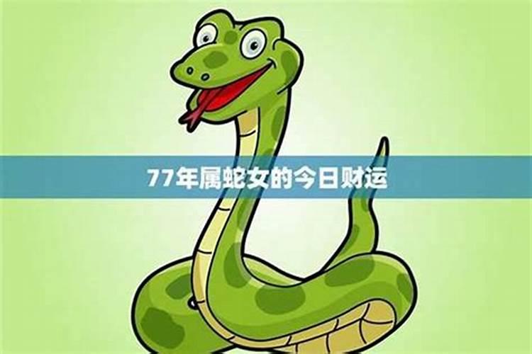 77年属蛇男2025年的运势和婚姻状况