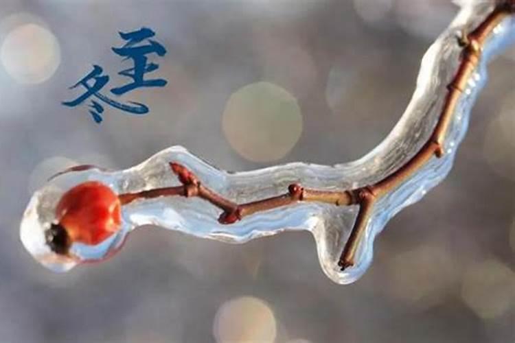 冬至过后什么生肖最旺