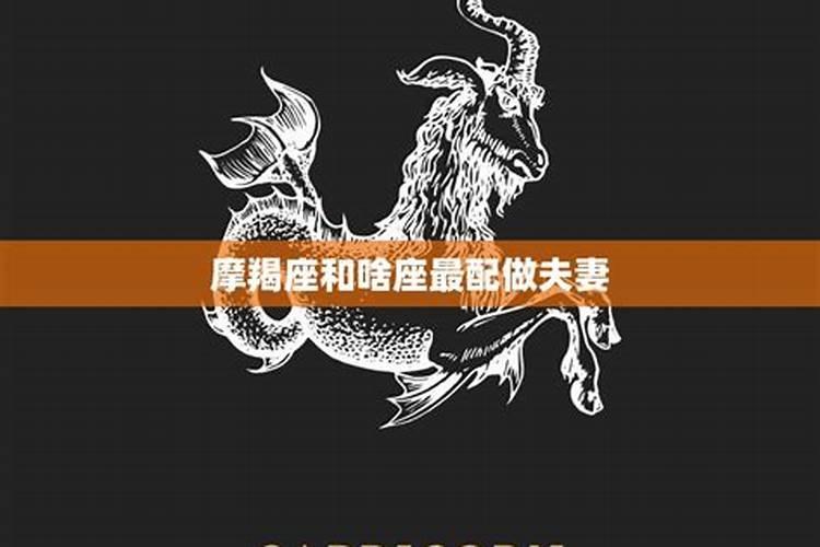 摩羯座和什么星座最配？