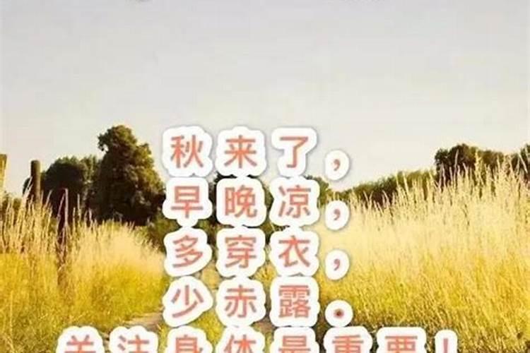 命理不错是什么意思？