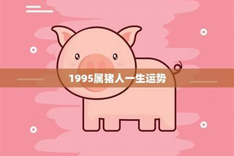 2025年属狗人的全年每月运势